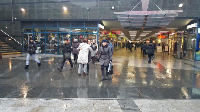 Darmowe przytulanie w Sosnowcu