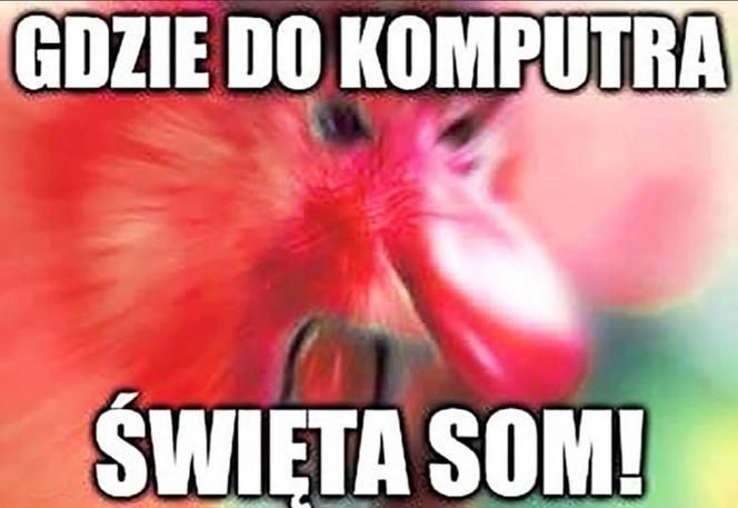 memy wielkanoc