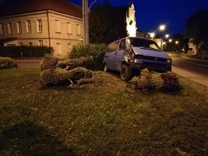 Ukrainiec zderzył się ze słoniami w Przeworsku