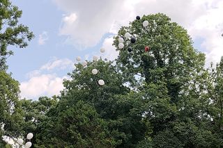 Pogrzeb Marcina Leszczyńskiego z True Love. Tak rodzina i przyjaciele pożegnali 31-latka