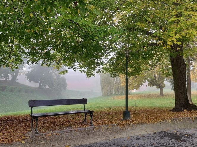 Zamojski Park jesienią