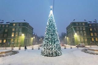 Miejska choinka przed urzędem miasta
