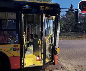 Paderwskiego Magenta