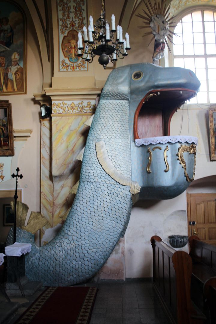 Ambona wieloryb w Dobroszowie