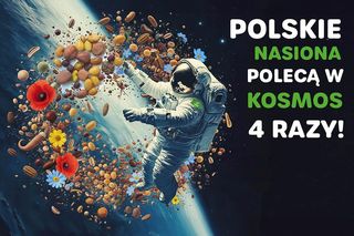 Nasiona spod Kluczborka wylecą w tym miesiącu w kosmos! 