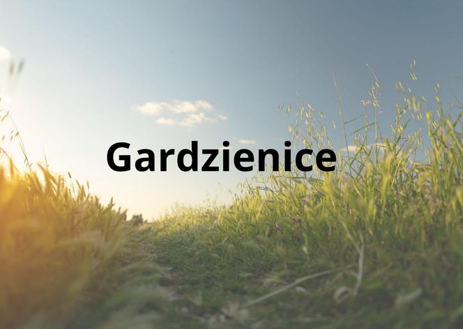 Gardzienice