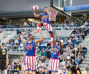 Harlem Globetrotters wystąpi w Arenie Toruń. To najlepsza koszykówka na świecie!