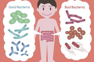 Dobre bakterie probiotyczne - jak rozwija się flora jelitowa u niemowląt?
