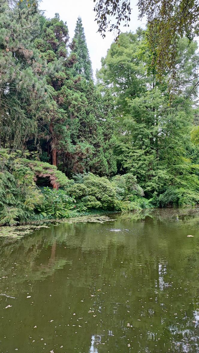 To jeden z najpiękniejszych ogrodów botanicznych w Polsce. Znajduje się na Dolnym Śląsku 