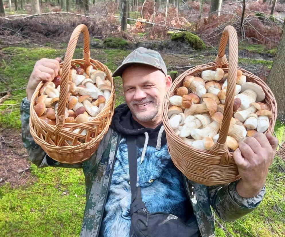 Czy to już ostatni dzwonek na grzybobranie w Świętokrzyskiem