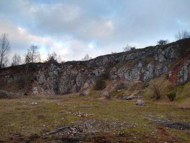 Przyroda w "Wiedźminie"