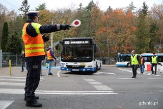 Dzień Wszystkich Świętych 2022. Jak dojechać na cmentarze w Gdyni?