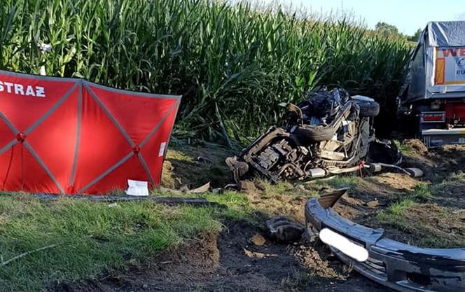 Przerażający wypadek pod Płońskiem! W zmiażdżonej hondzie zginął mężczyzna [ZDJĘCIA]