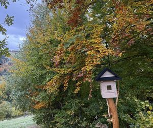 Szczyrk na jesiennych zdjęciach