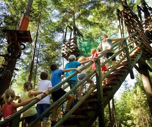 Park Linowy „Las Przygód” (Zawoja)