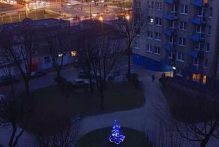 Katowice: Spółdzielnia wycięła im jedyną choinkę na osiedlu. Sami kupili nową jodłę