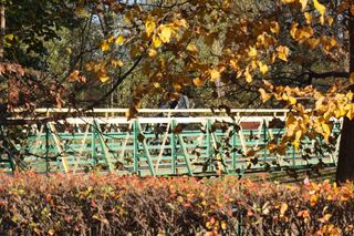 Park Ludowy w listopadowej odsłonie!