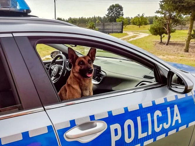 Policjanci dał dom psim emerytom