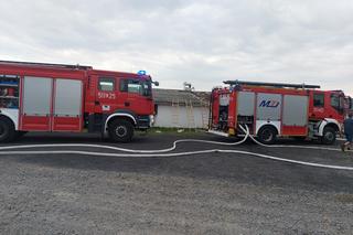 Potężny pożar kurnika w pow. radzyńskim Padło kilka tysięcy zwierząt. Zobacz