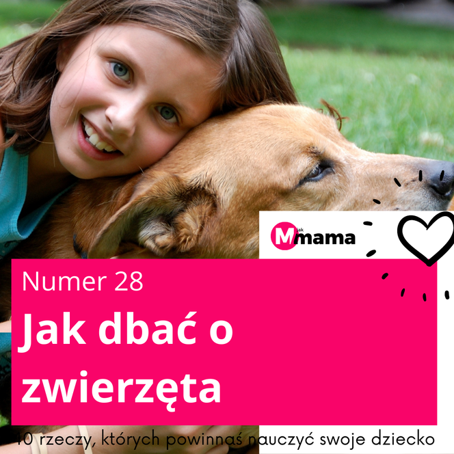 Jak dbać o zwierzęta