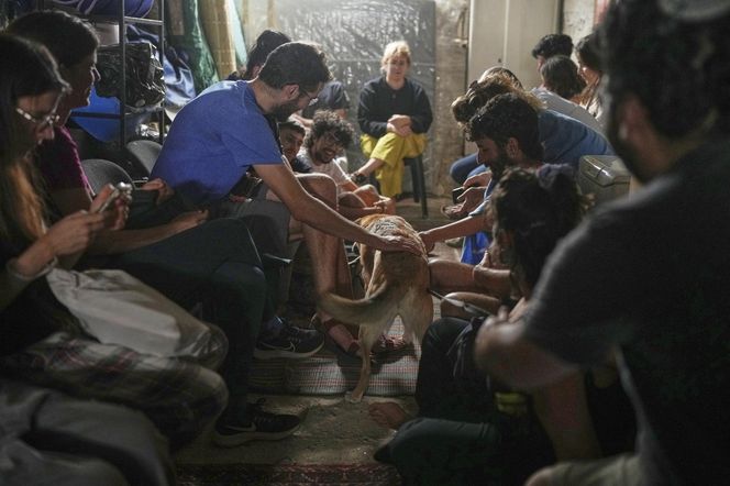 Ogromna liczba ofiar w Iranie! "90 procent to cywile"