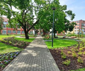Ukraińskie ustronie to nowy toruński park kieszonkowy