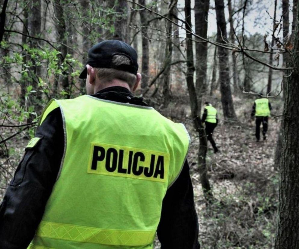 Wyszedł na grzyby i już nie wrócił. Tragiczny finał