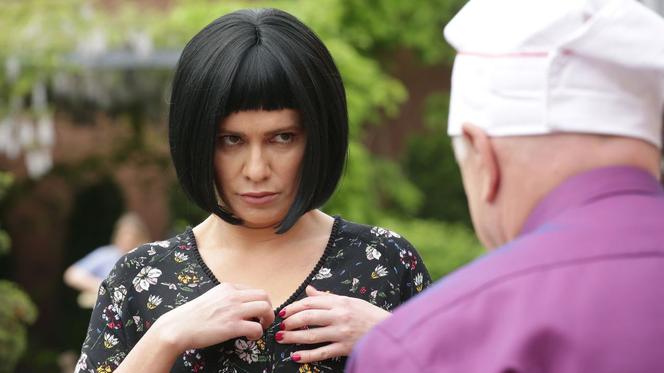 M jak miłość, odc. 1464. Otar (David Gamtsemlidze), Sandra (Anna Oberc)