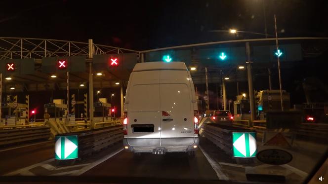 Lwiątka z Odessy były skazane na śmierć! Teraz zaczynają nowe życie w amerykańskim azylu [ZDJĘCIA]