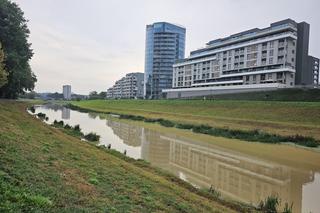 Wysoka woda na Wisłoku po ulewach