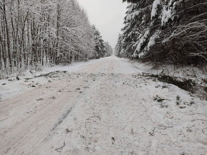 Wieś Szałas w gminie Zagnańsk