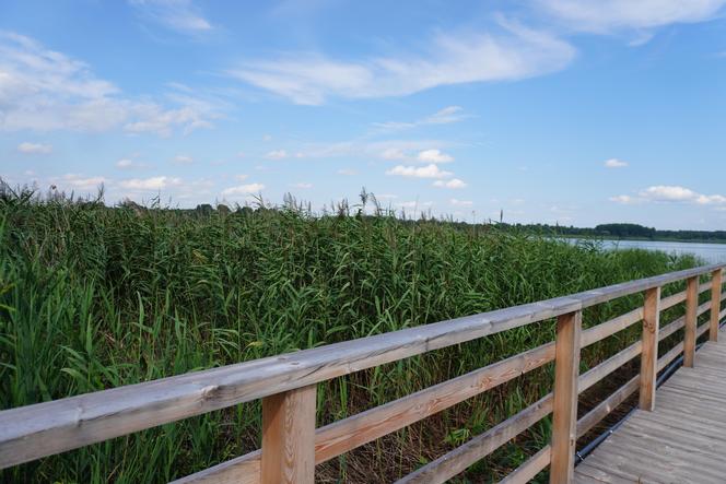 Podlaska Atlantyda, czyli Zalew Siemianówka i okolice