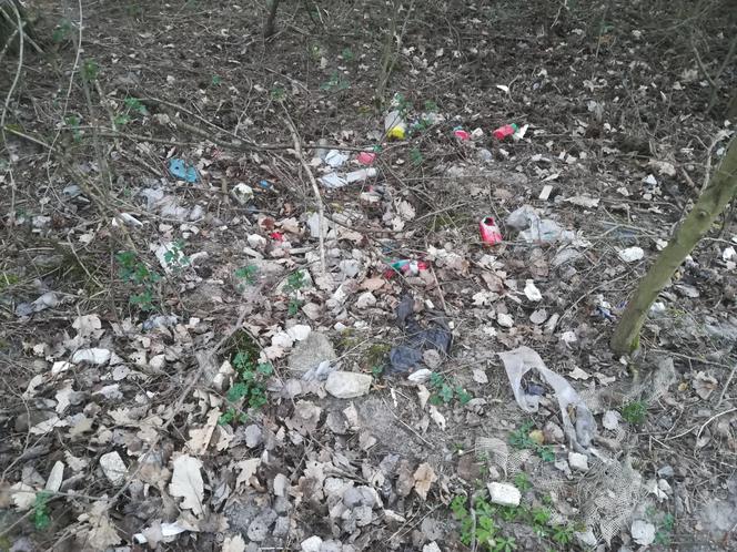 Śmieci w lasach - Siedlce