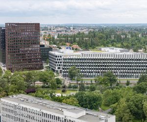 Po latach otwiera się taras widokowy w słynnym poznańskim wieżowcu