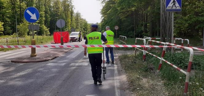 Jarocin. Zmasakrował na drodze piękną Agatę. 19-latek z zarzutami!