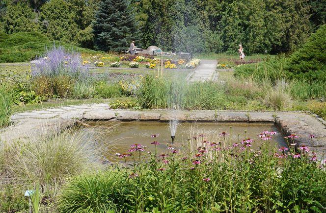 Ogród Botaniczny w Poznaniu 