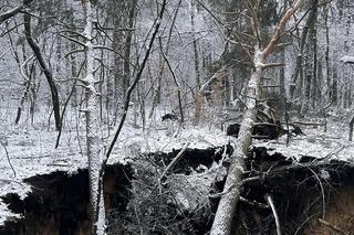 Zapadlisko w Trzebini powstałe 20 stycznia 2023. Dzień wcześniej ziemia zapadła się w innym miejscu