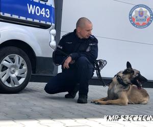 Chciał targnąć się na życie. Czworonożna policjantka pomogła uratować zdesperowanego mężczyznę