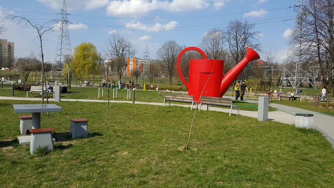 Nowe drzewa i krzewy w Parku Polisensorycznym