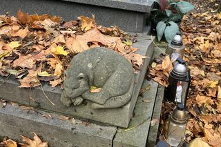 Architekci na krakowskich cmentarzach. Tutaj spoczywają Szyszko-Bohusz, Zin, Cęckiewicz