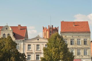 Przez kujawsko-pomorskie na rowerze. Okolice tej miejscowości są idealne na wyprawy [GALERIA]