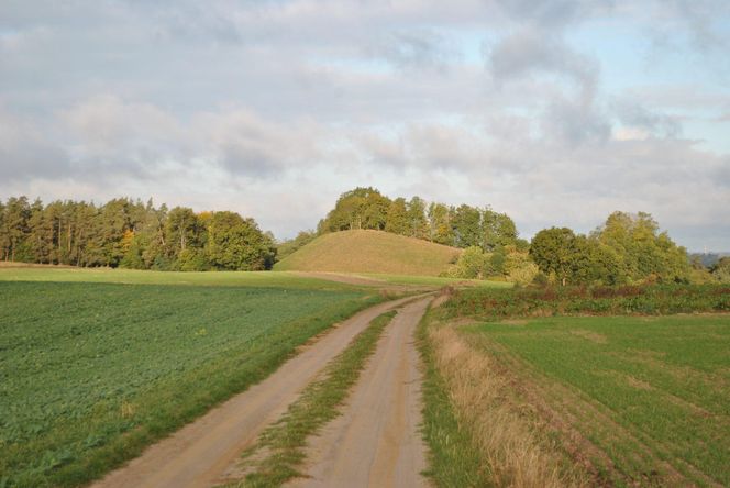 Kałdus