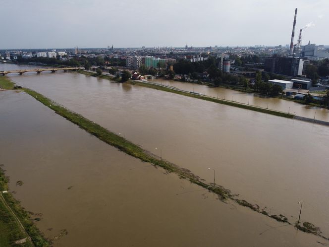 Wrocław - Odra wysoki poziom wody przy porcie miejskim (czwartek, 19.09)