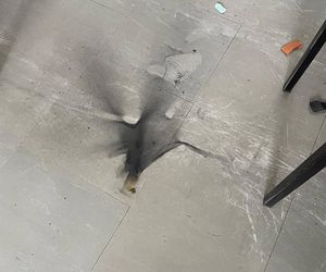Groźny incydent podczas lekcji w podstawówce. W plecaku eksplodował telefon