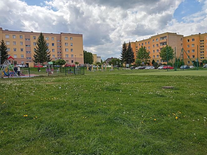 Pół boiska w Kielcach