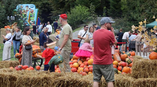 Nowa atrakcja w Lublinie dla dzieci! Farma dyń już działa