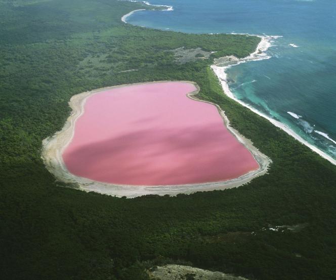 Jezioro Hillier w Australii, różowe jezioro