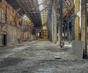 Elektrociepłownia Szombierki w Bytomiu w 2025 r.