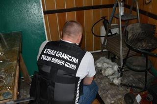 Warmińsko-mazurskie. Straż graniczna zatrzymała dwie osoby związane z obrotem narkotykami