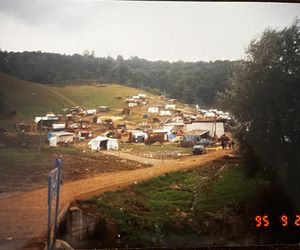 Pan Mariusz i misja pokojowa